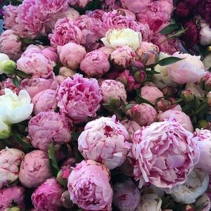 Meet your Posher, Michelle